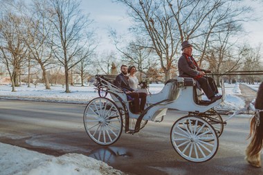 Ohio Bride and Groom in Horse Drawn Carriage in Snow On the Way to the Reception - The Hotel at Oberlin