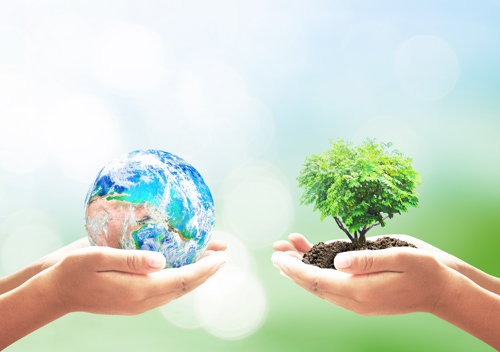 Earth Day, Every Day package