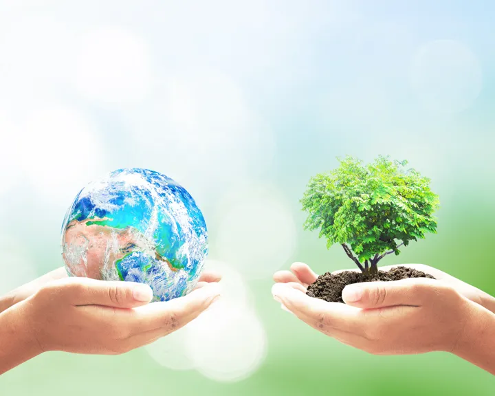 Picture of the planet Earth and a tree to represent Earth Day