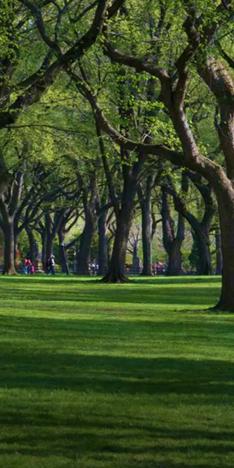 The Hotel At Oberlin | Hotel in Oberlin OH | Hotel at Oberlin