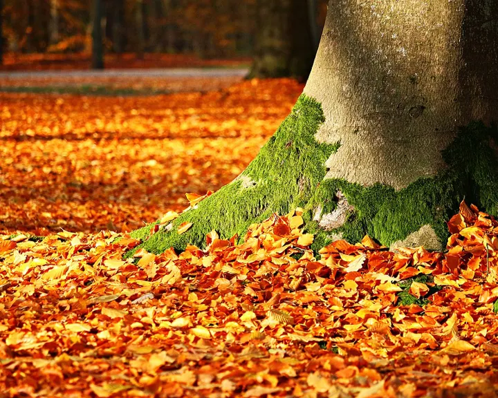 Autumn in Ohio