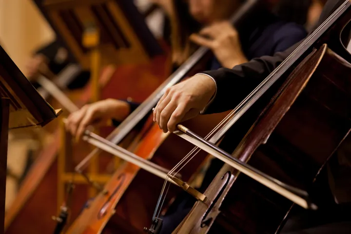 Cellists at a concert